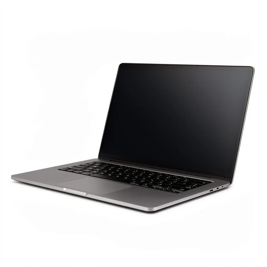 Laptop
